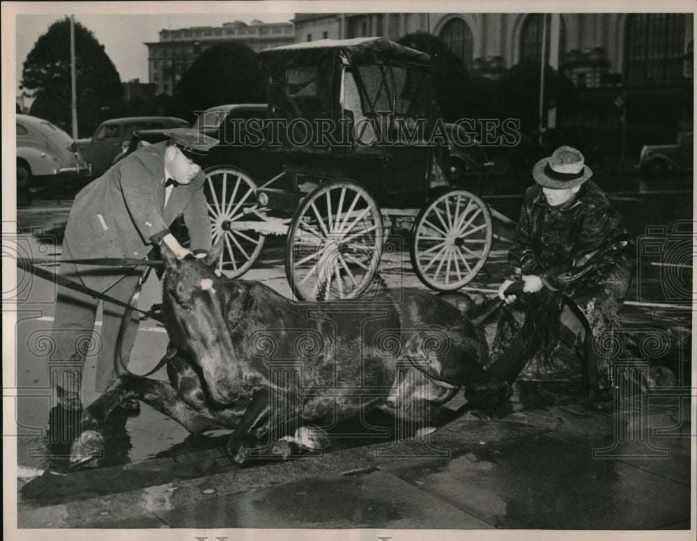 1941 Press Photo San Francisco, Cal.Horse Old Dan &amp; SPCA officer D Harris-Historic Images