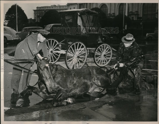 1941 Press Photo San Francisco, Cal.Horse Old Dan & SPCA officer D Harris-Historic Images