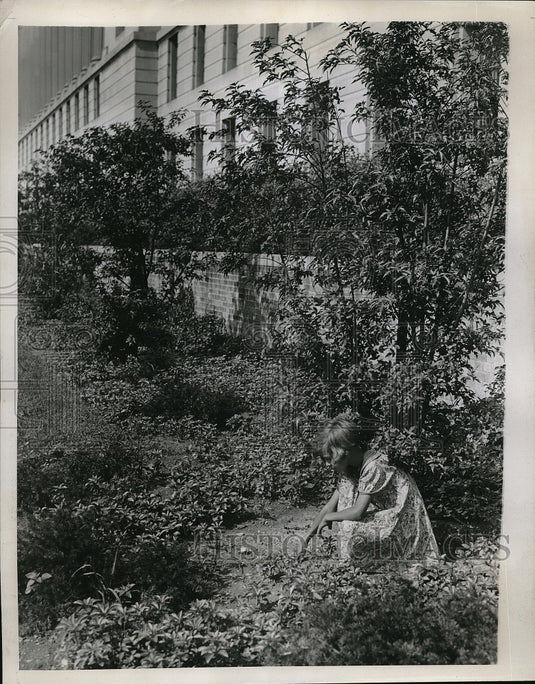 1938 Press Photo Margaret Herbert, age 9 at Dept of Agri bldg gardens in D.C.-Historic Images