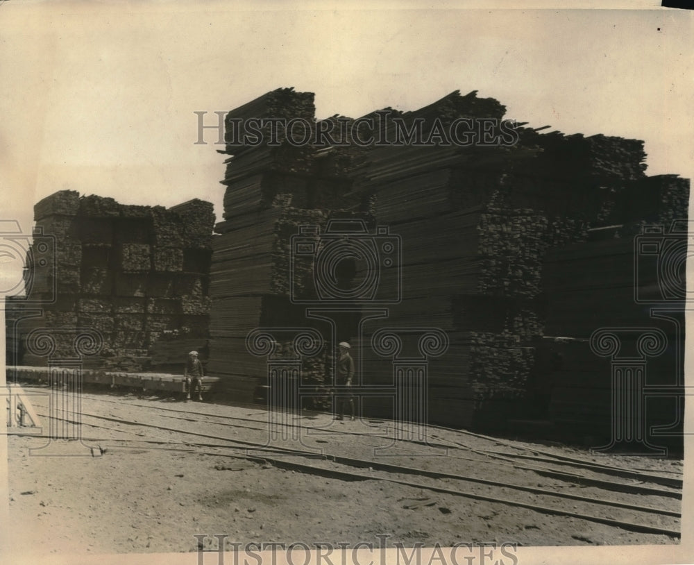 1924 Redwood Blocks Used in Construction of Roads in Pittsburg, CA-Historic Images