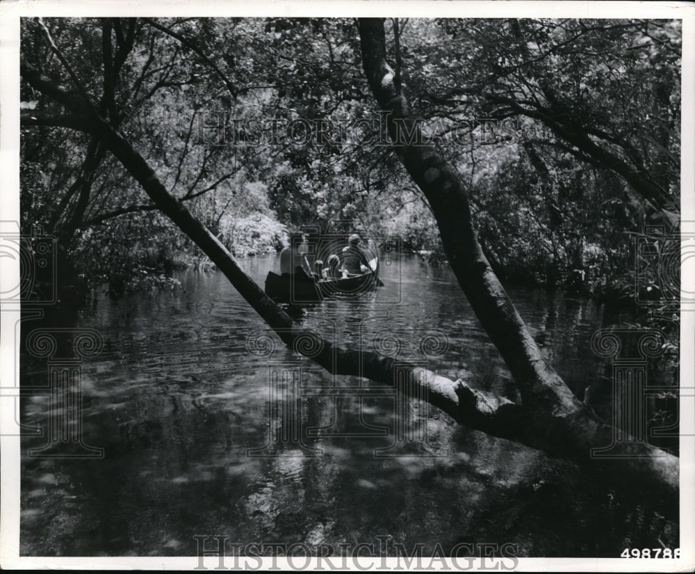 1964 Press Photo Kauadia family on canoe trip on Juniper Creek, Fla. - neb49073-Historic Images