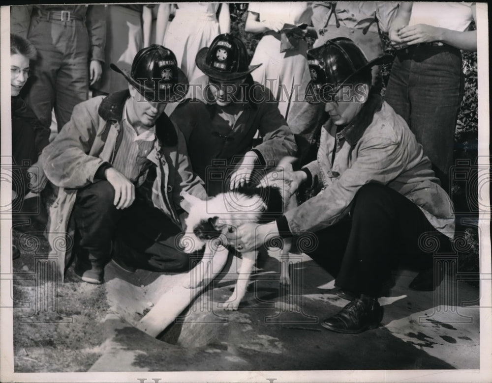 1946 Denton, Tx firemen &amp; dogat drain he watched for 41 days-Historic Images