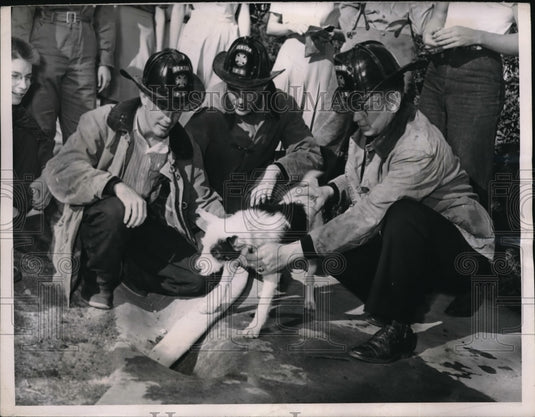 1946 Denton, Tx firemen & dogat drain he watched for 41 days-Historic Images