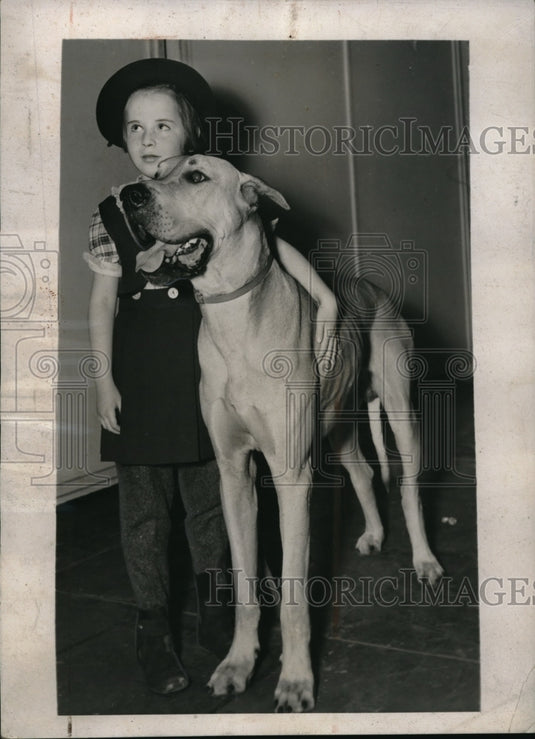 1938 Barbara Gibson Makes Friends With Great Dane Gilbert Thordow-Historic Images