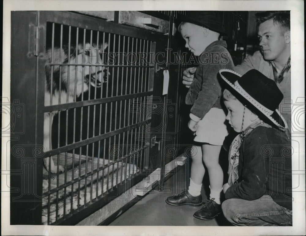 1949 Press Photo Jeffrey &amp; Charles Willis at Dog Shelter, Joseph Gladsky - Historic Images