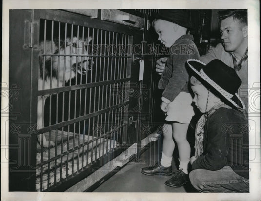 1949 Press Photo Jeffrey & Charles Willis at Dog Shelter, Joseph Gladsky - Historic Images