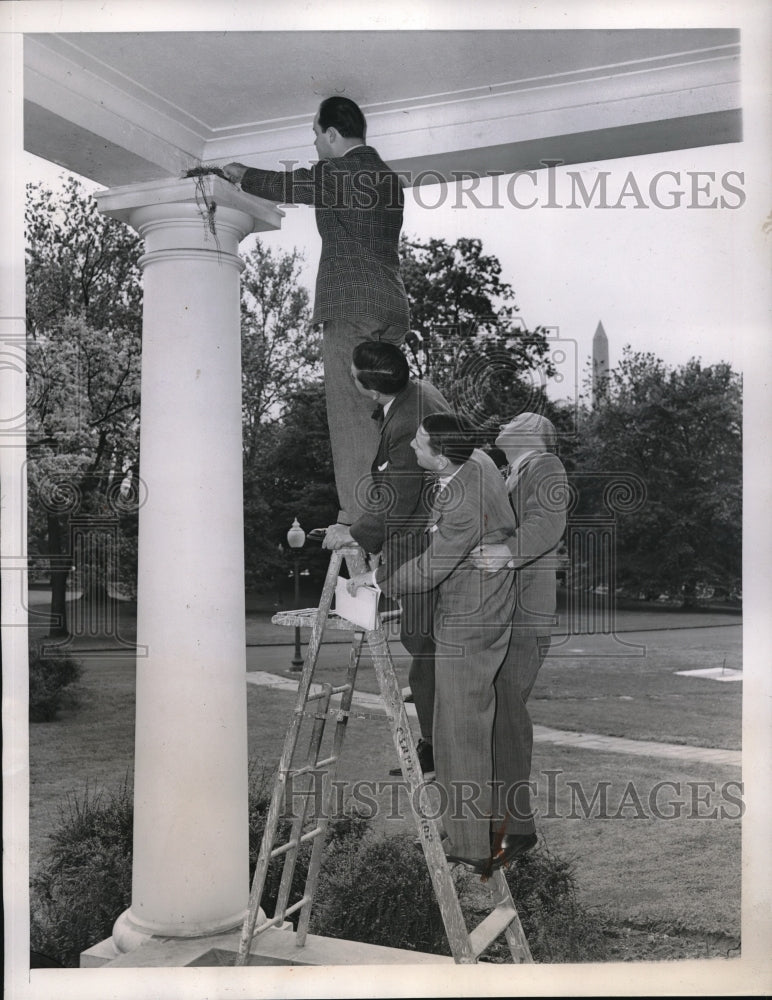 1946 Press Photo White House reporters look at robin&#39;s nest in the eaves of bld-Historic Images