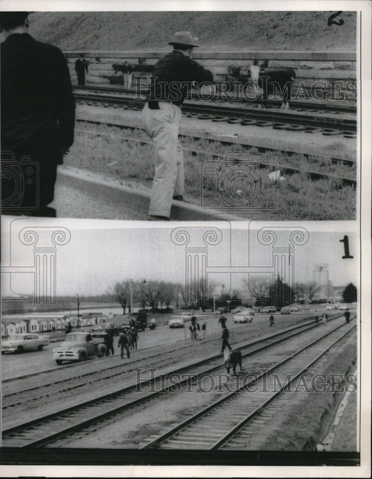 1959 Press Photo A Maverick Steer got loose in Memphis, TN, headed for tracks - Historic Images