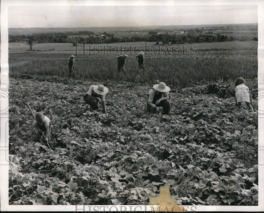 1943 Press Photo Omer L&#39;Heureux, Wife Antoinette &amp; Children Work Crop in Canada - Historic Images