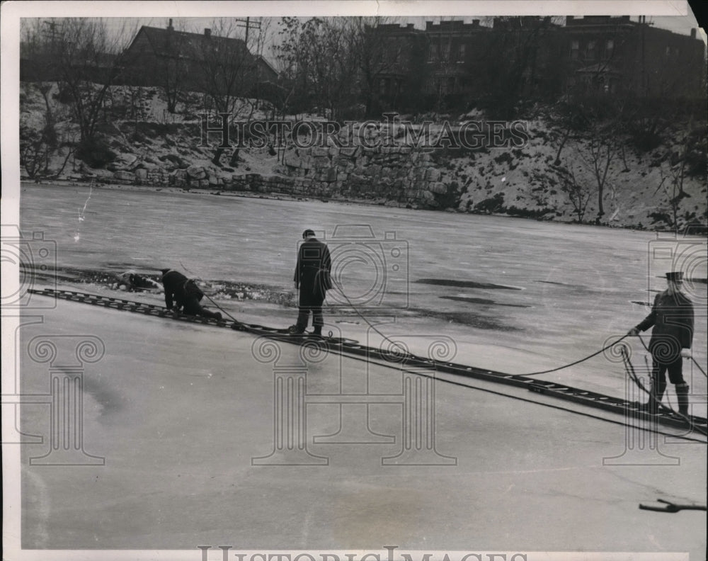 1940 Rescue workers rescuing steer from freezing water after it fell - Historic Images