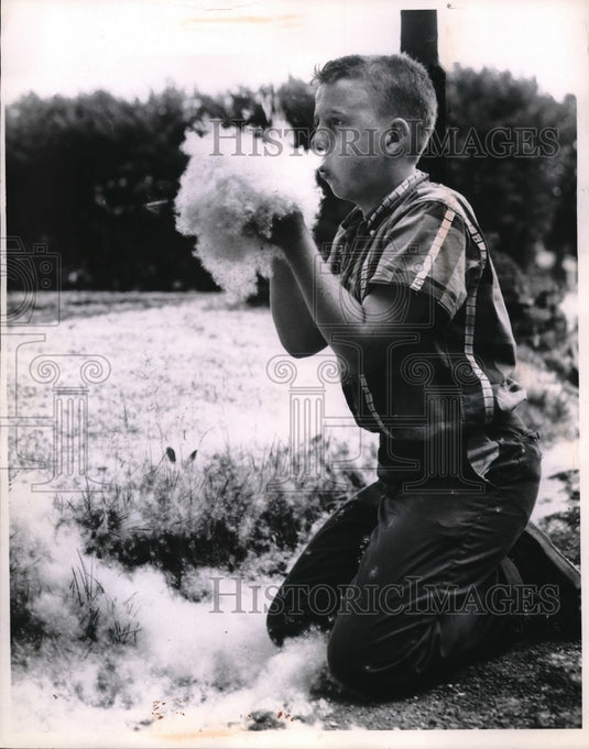 1961 Ray Cusick of Clevelnad, Ohio & cotton fuzz from poplar trees - Historic Images