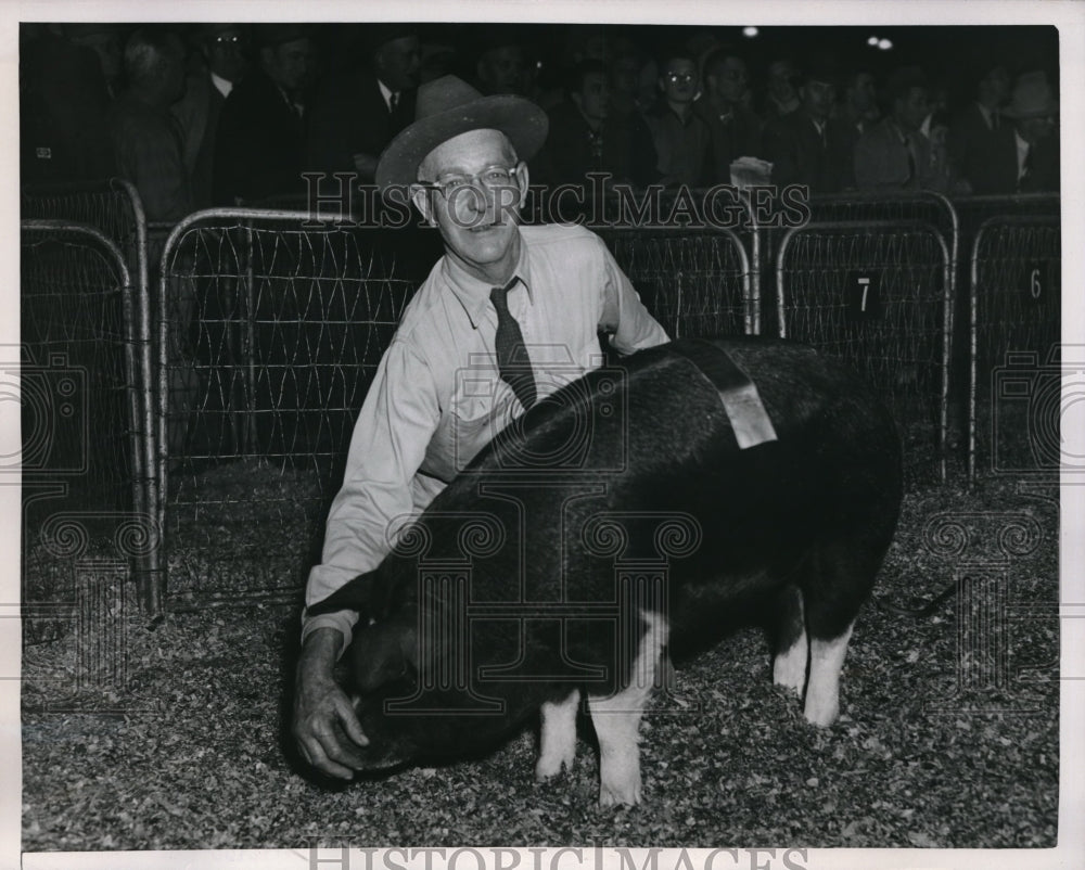 1952 Press Photo Purdue Univ.&#39;s Poland China Hog &quot;Purdue Model II&quot;, Cliff Breede - Historic Images