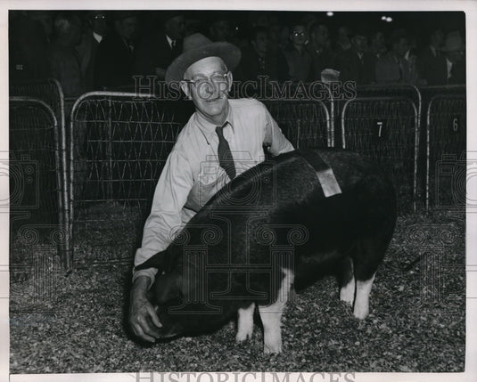 1952 Press Photo Purdue Univ.'s Poland China Hog "Purdue Model II", Cliff Breede - Historic Images