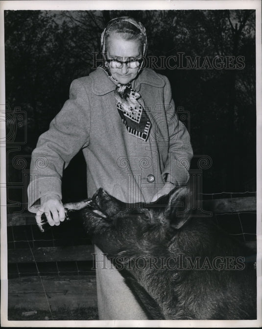 1957 Press Photo Mrs SG Boggs feeding Coca Cola to her China pig in Tenn.-Historic Images