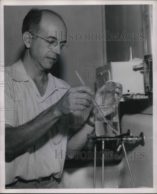 1953 Press Photo Moorsetown, N.J. lab tests on core borer larvae at USDA lab - Historic Images