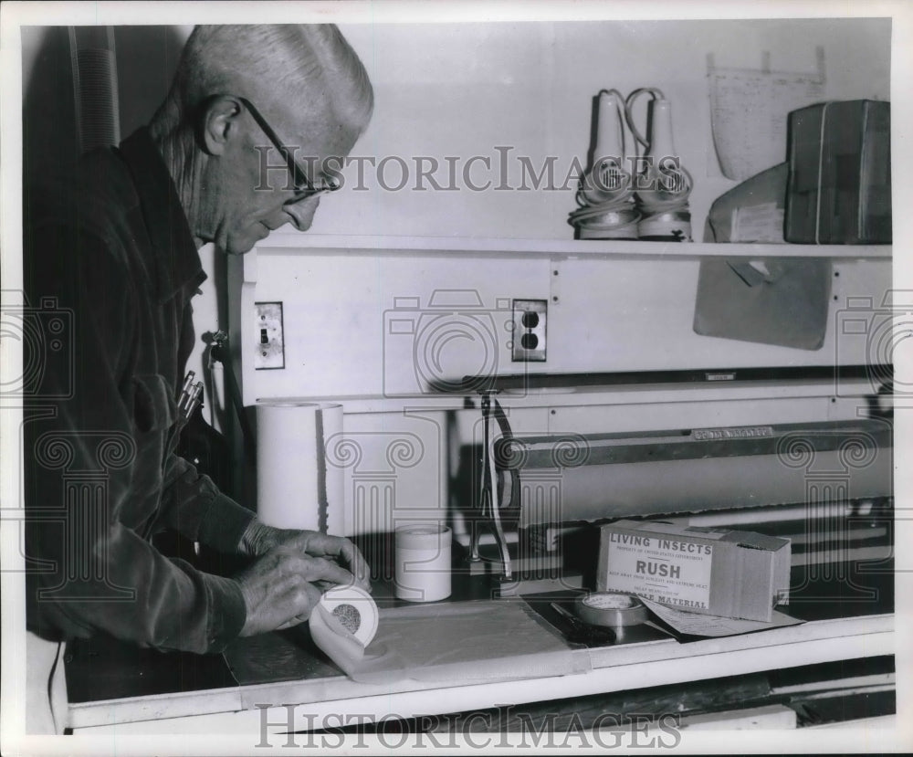 1953 O.E. Jones at Bureau of Entomology &amp; Plants in Tx. - Historic Images