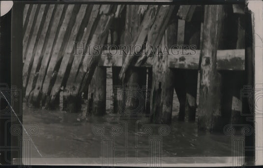 1923 Press Photo Result of Teredo Worm-Historic Images