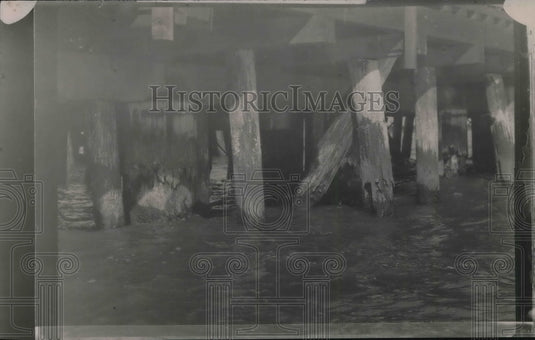 1923 Press Photo Work of Teredo Worm Insect-Historic Images