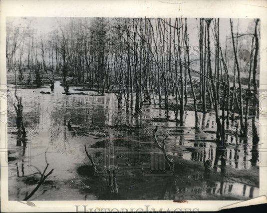1934 Press Photo Saar Territorby Forest of Herrensohr - Historic Images