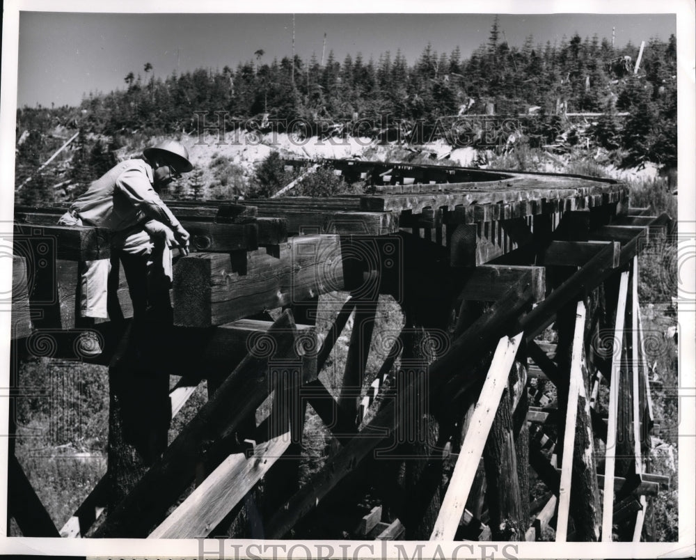 1961 Press Photo Fay Franklin, Forrester at Weyerhaeuser Co.Checks Trestle - Historic Images