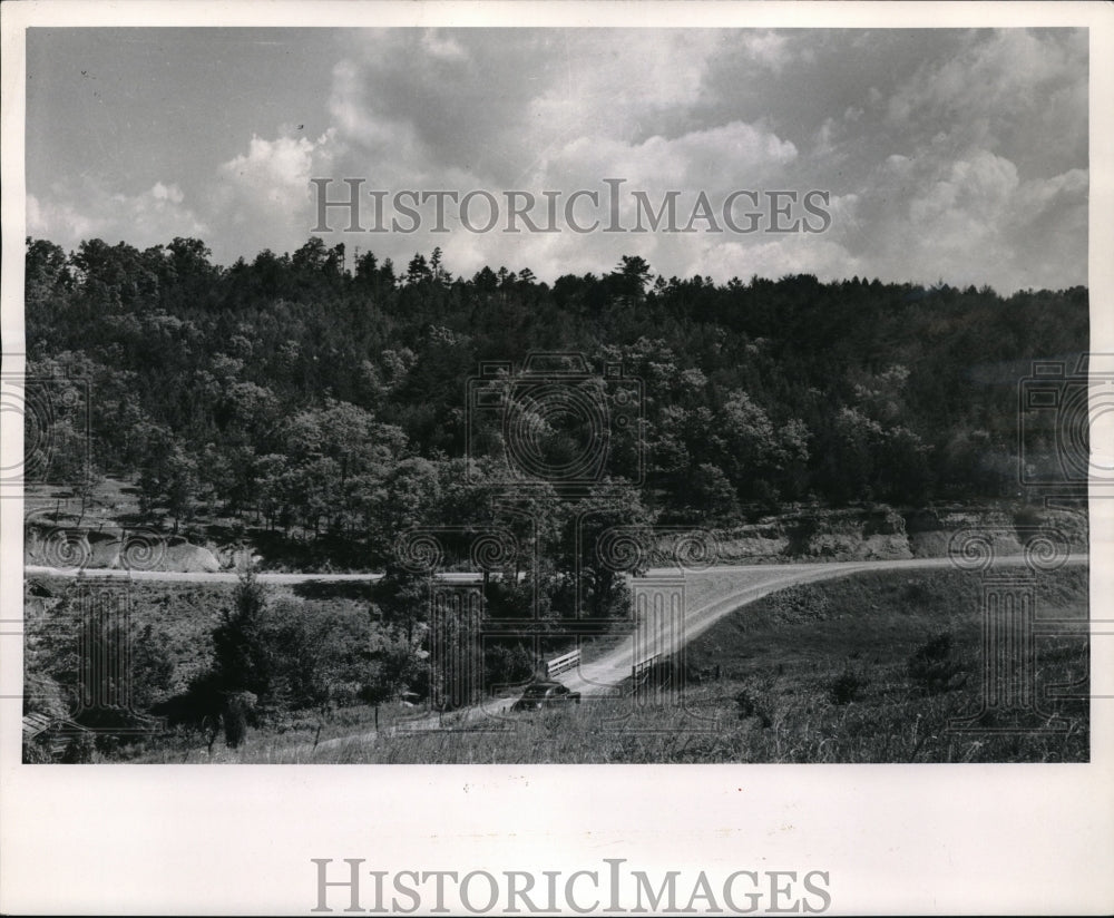 1958 Press Photo TVA seedling tress for re-forestation - Historic Images