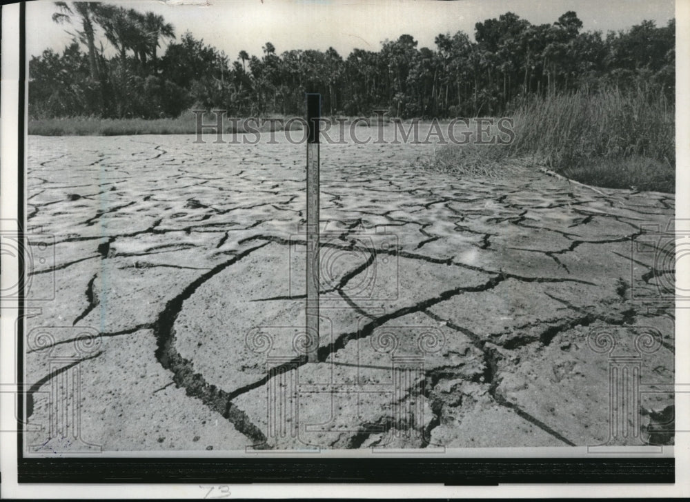 1967 Press Photo Lakes and streams dry up in Florida&#39;s worst drought in 37 years-Historic Images