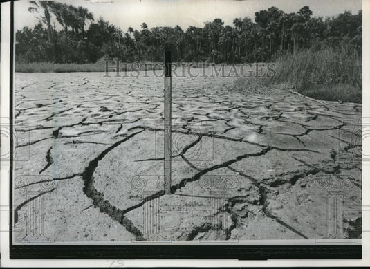1967 Press Photo Lakes and streams dry up in Florida's worst drought in 37 years-Historic Images
