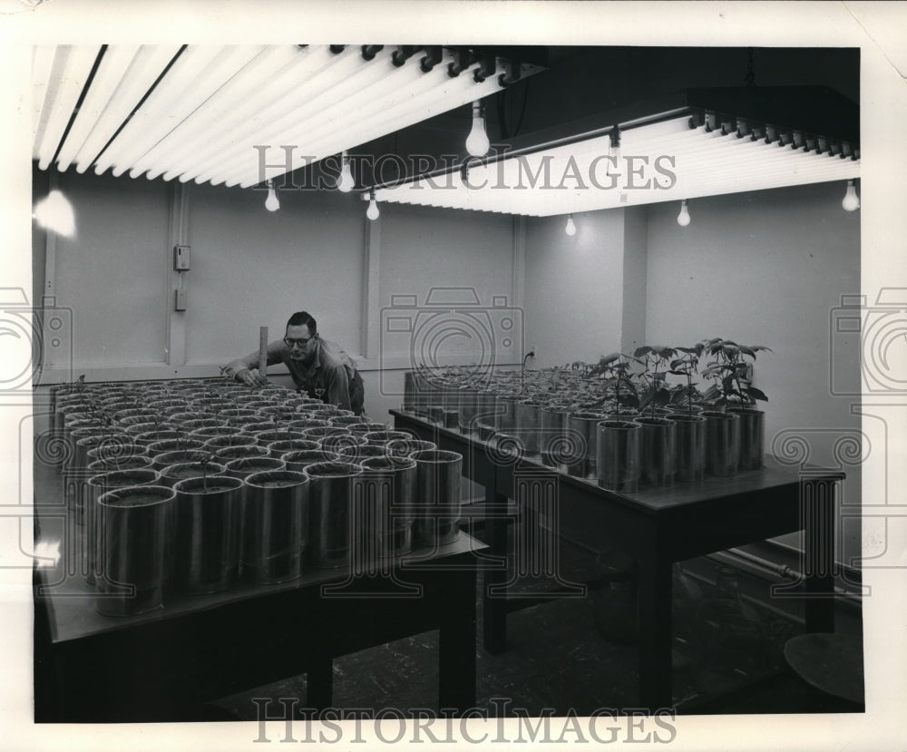 1957 Alan Sherner associate chemist at Armour Research Foundation - Historic Images