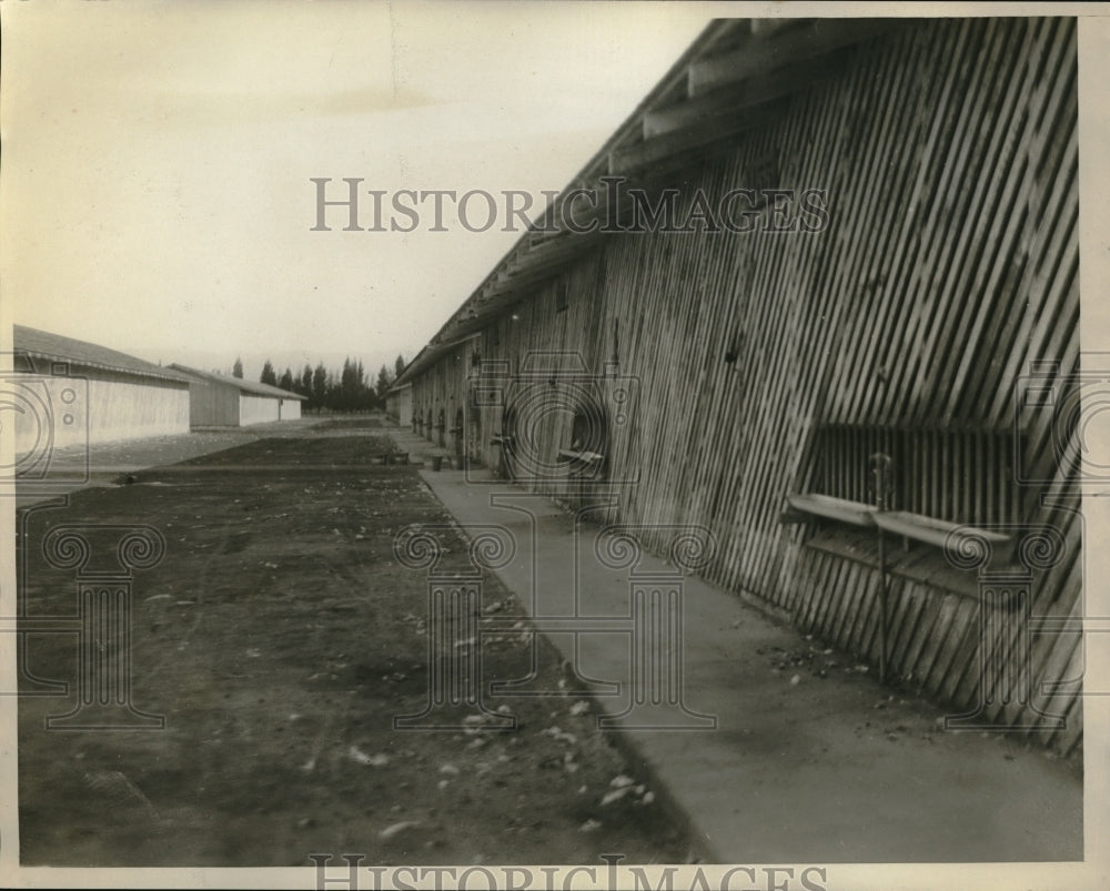 1930 Runnymede Poultry Farm in Los Angeles - Historic Images