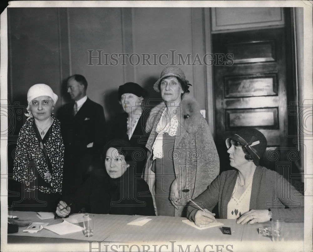 1932 Press Photo Members of the Democratic National committee Mrs. Bernice Pike - Historic Images