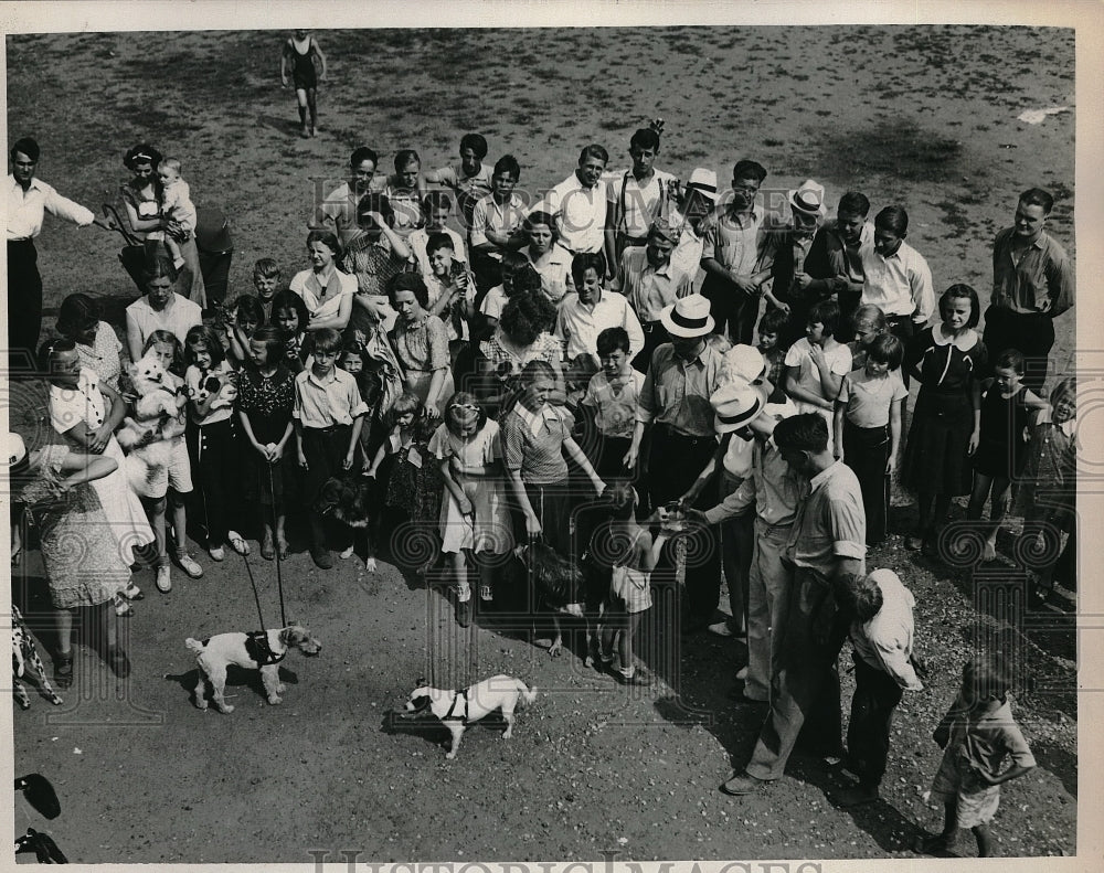 Press Photo Crowd Gathering At Sterling Playground Pet Animal Show - Historic Images