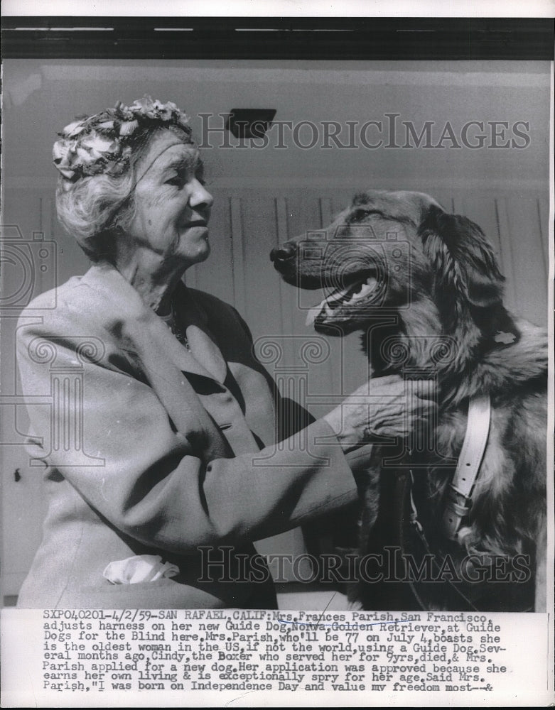 1959 Press Photo Frances Parish Adjusts Harness On New Guide Dog Norva - Historic Images