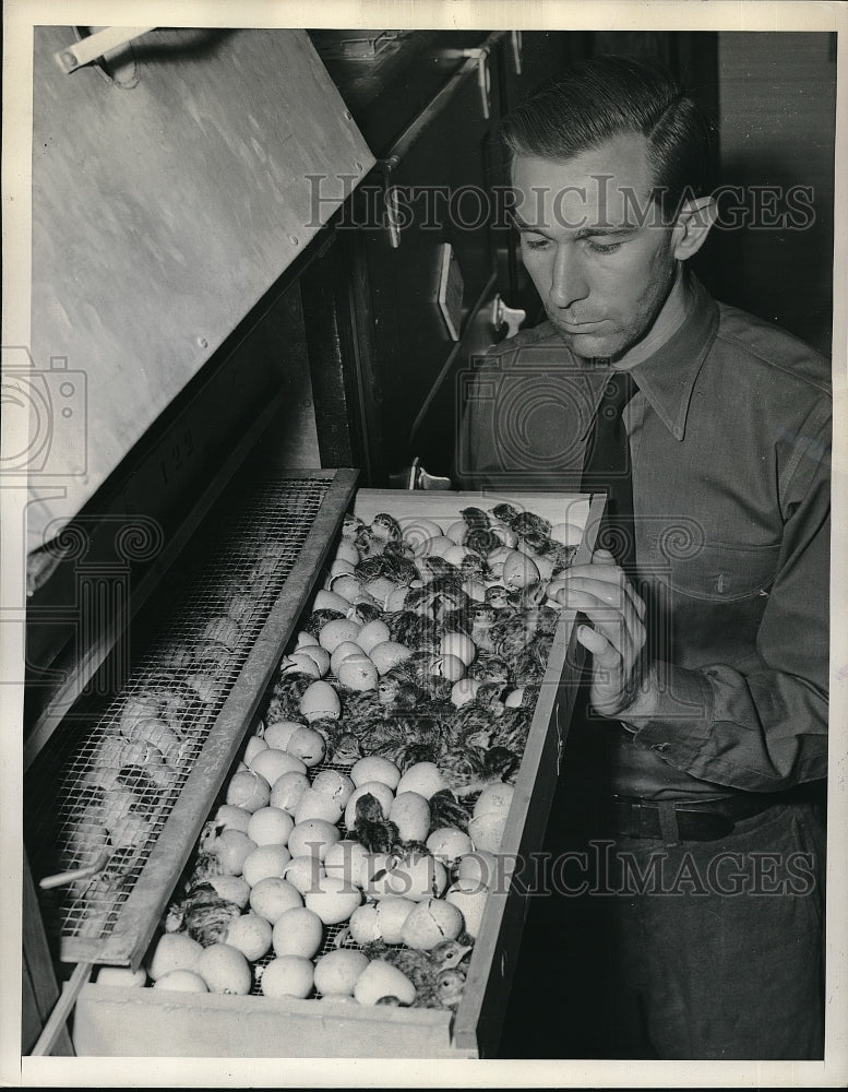 1939 Press Photo Marvin Hagle, Game Bird Conservationist with Chukar Partridge - Historic Images