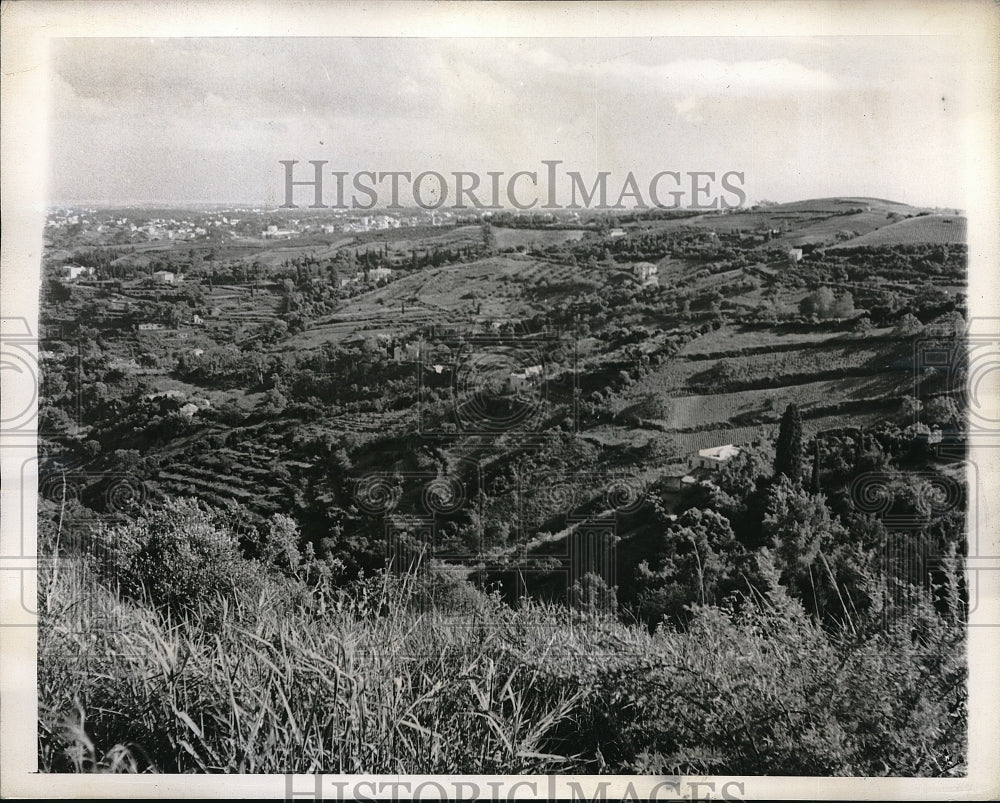 1943 Algerian farms on which Arabs grow foodstuffs - Historic Images