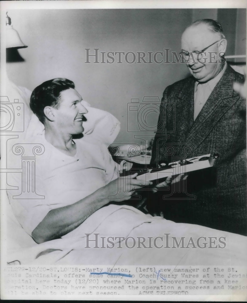 1951 Marty Marion, New Manager of St. Louis Cardinals, Buzzy Wares - Historic Images