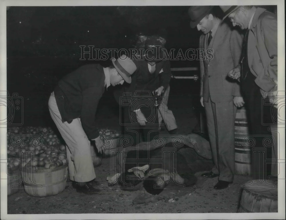 1938 Press Photo Caught truckers asleep on the ground in trucks &amp; on their-Historic Images