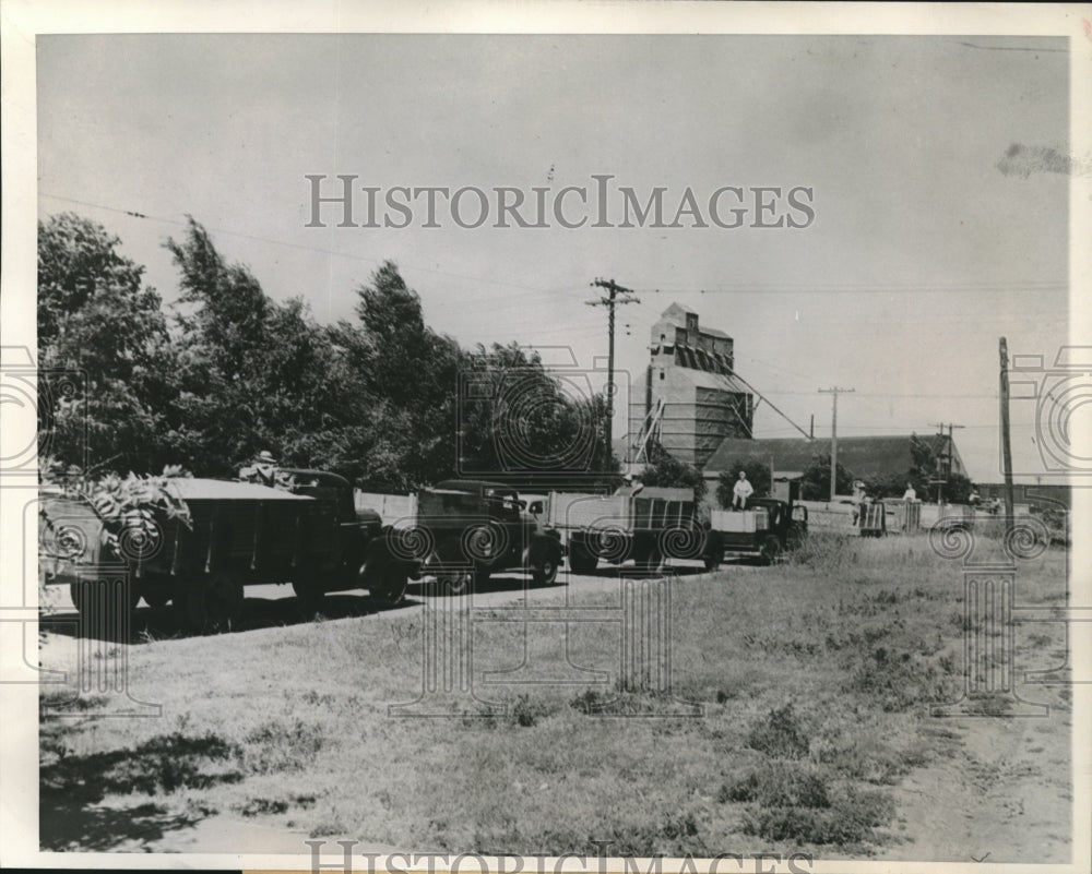 1944 Press Photo Amarillo Texas Labor Shortage Wheat handling - Historic Images