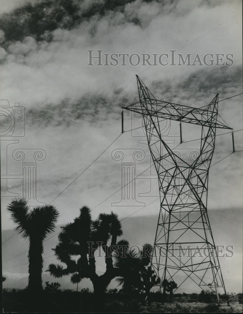 1933 Press Photo A power line runs past cactus in the desert - Historic Images