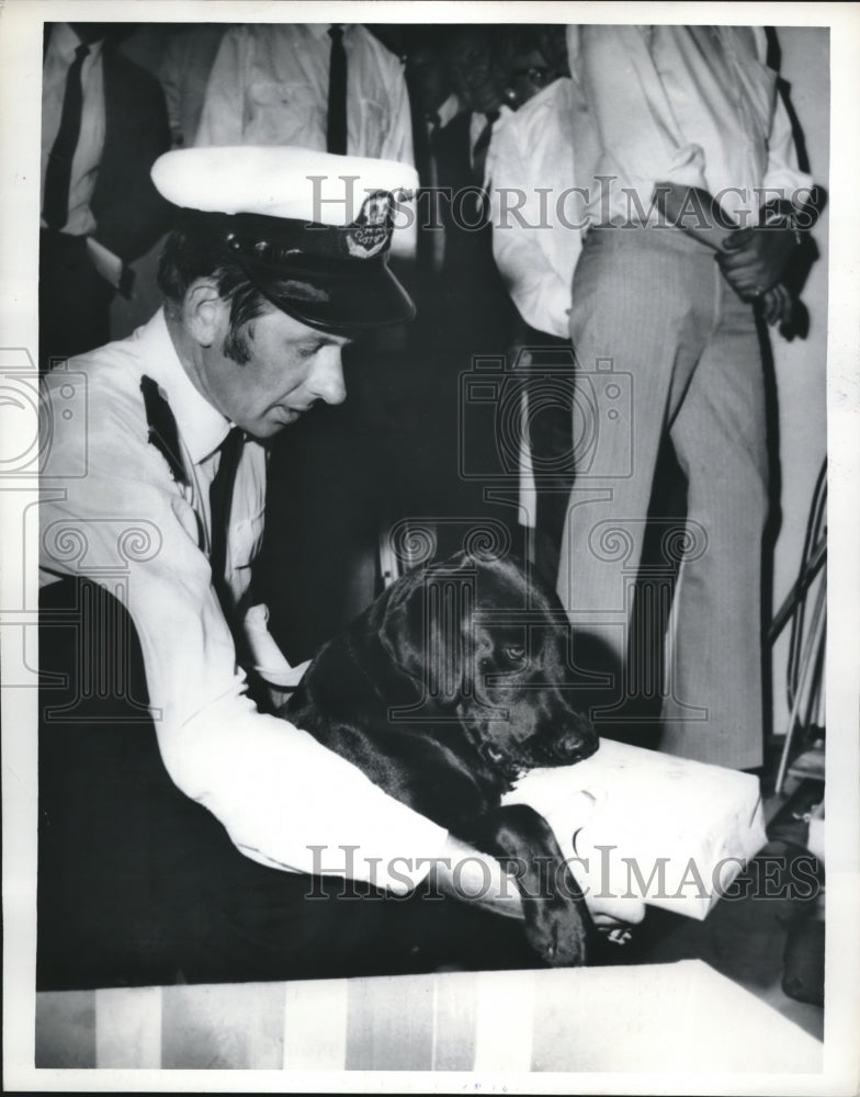 1970 Press Photo Sydney Canine drug detector dog Captain & Barry walker - Historic Images