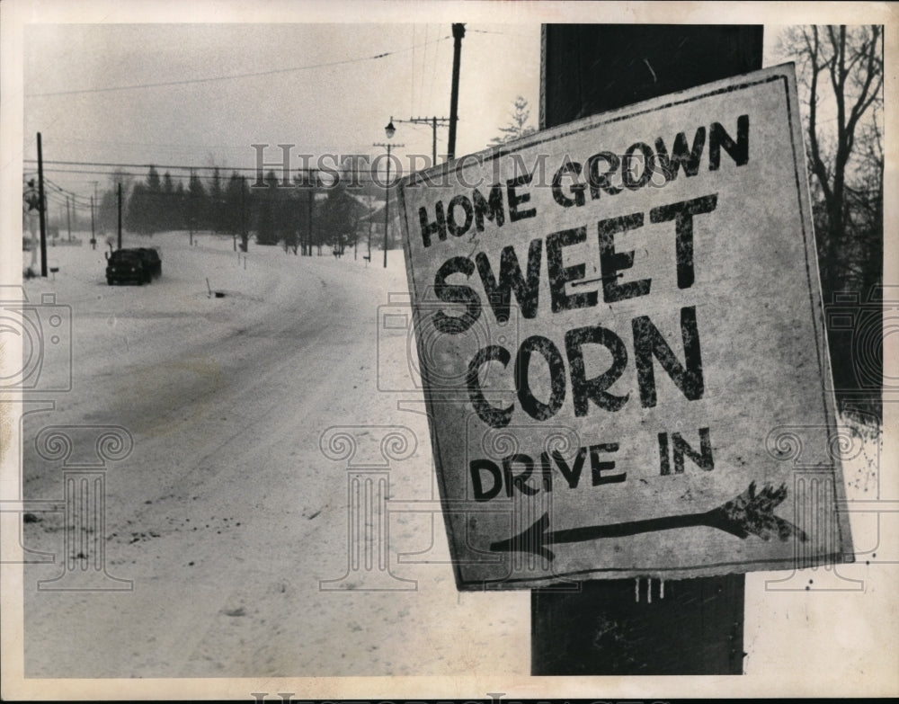 1962 Press Photo Sweet corn advertisement at Brecksville Ohio - Historic Images