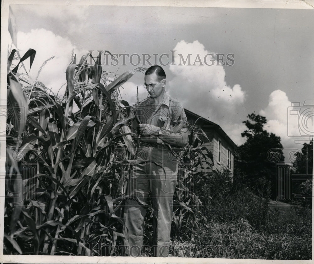 1948 Press Photo Ralph emerson Corn Farm - Historic Images