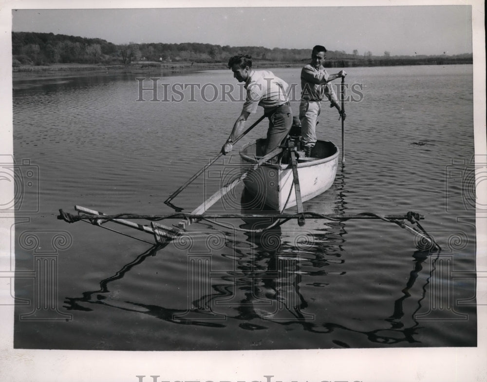 1953 Press Photo Cook County, Ill Bruce Muench of Conservation Dept fish biol.-Historic Images