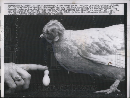 1958 Samanthy a hen owned by Mr & Mrs Ken Jackson in Lodi CA - Historic Images