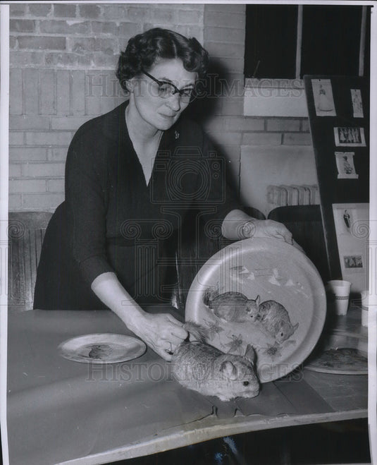 1957 Press Photo Mrs. Narie Roberts comparing live chinchilla to painting of one - Historic Images