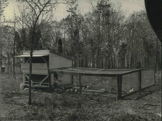1943 Press Photo Small House Using Portable Wire Panels For Fencing Small Yard - Historic Images