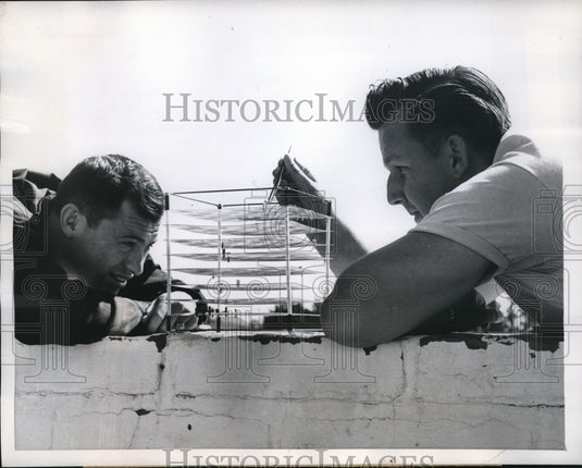 1959 San Luis Obispo, Calif. Son Lima & Erv Raidna at chess - Historic Images