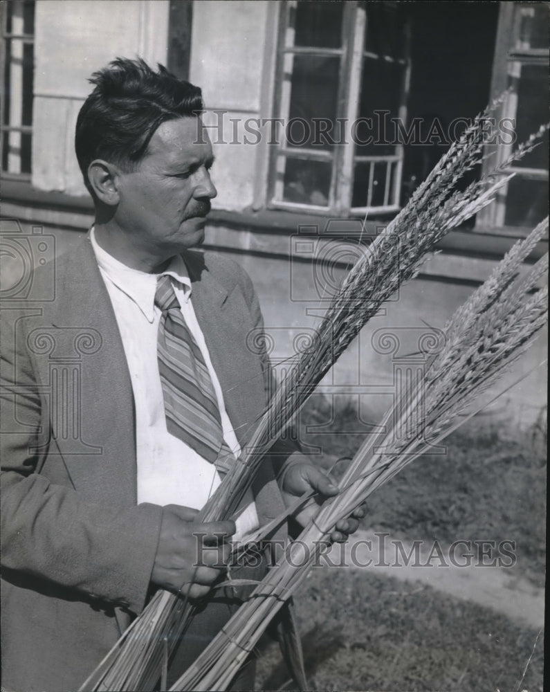 1948 Professor Tsitsin holds sheaves of wild couch grass &amp; wild lyme - Historic Images