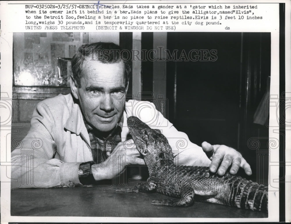 1957 Charles Eads w/ the alligator he named Elvis at the Detroit - Historic Images