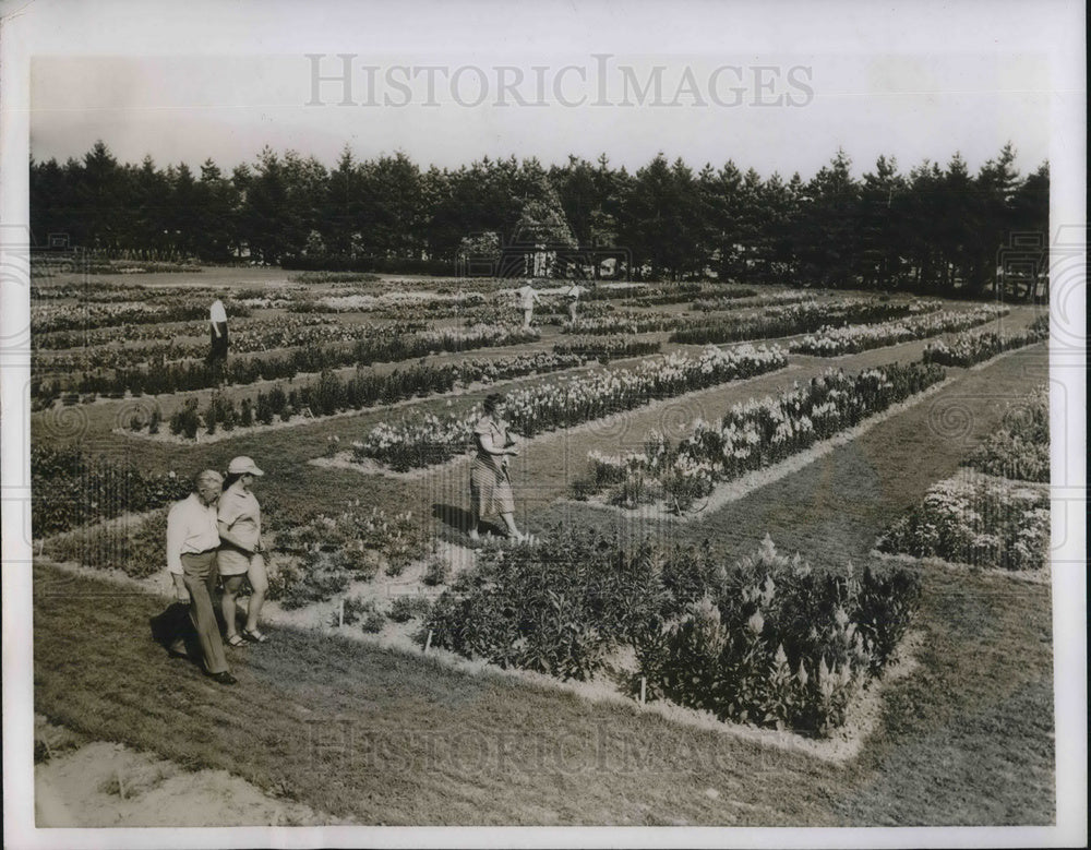 1964 Press Photo Test gardens at Pennsylvania State University - neb66244 - Historic Images