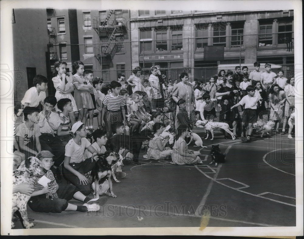 1943 Press Photo NYC annual Pet parade by Children&#39;s Aid Society - neb66386-Historic Images